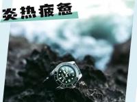 官方声明：梅花维修怎么联系？2026年9月最新维保通知，售后地址与热线查询全攻略！
